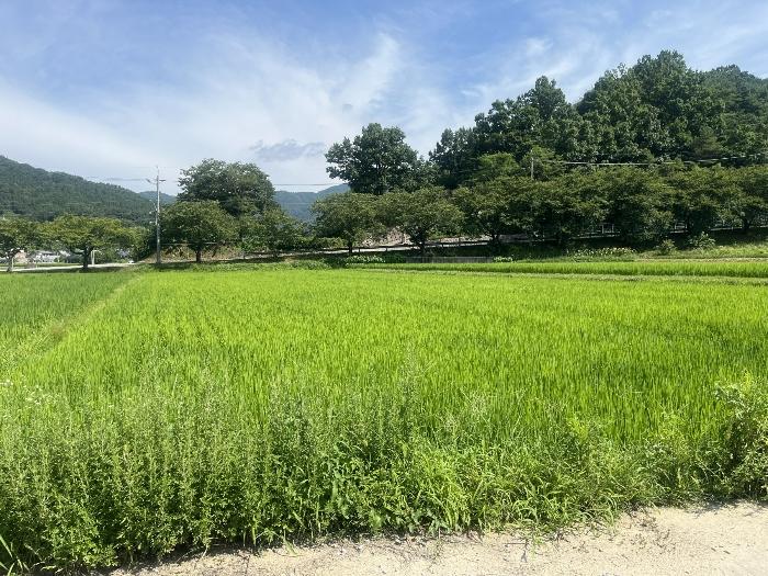 경상남도 산청군 전