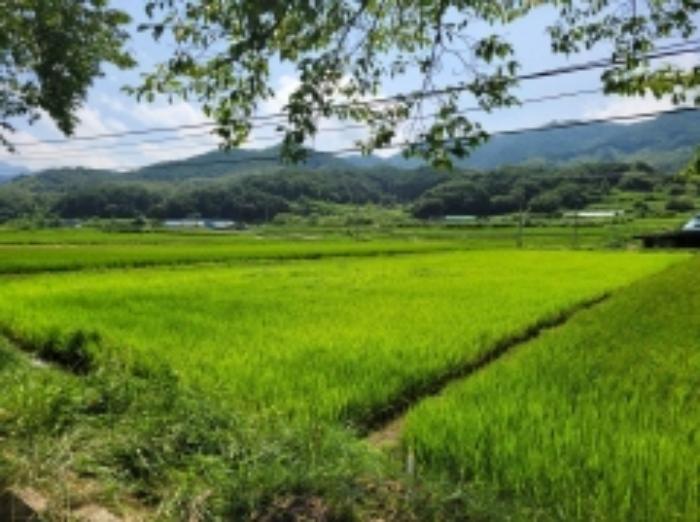경상남도 산청군 오부면 중촌리 770 전 경매 사진 8