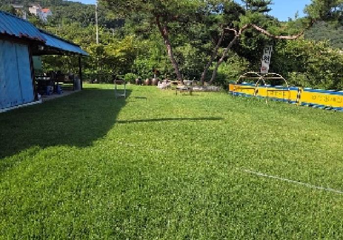 충청남도 아산시 음봉면 신수리 286-8 잡종지 경매 사진 18