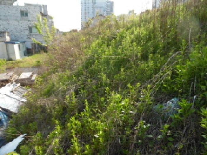 전북특별자치도 전주시 완산구 중화산동2가 210 대지 경매 사진 19