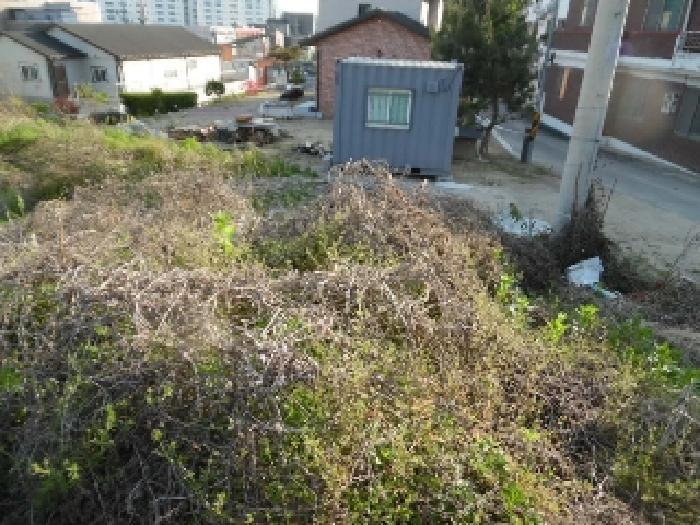전북특별자치도 전주시 완산구 중화산동2가 210 대지 경매 사진 60