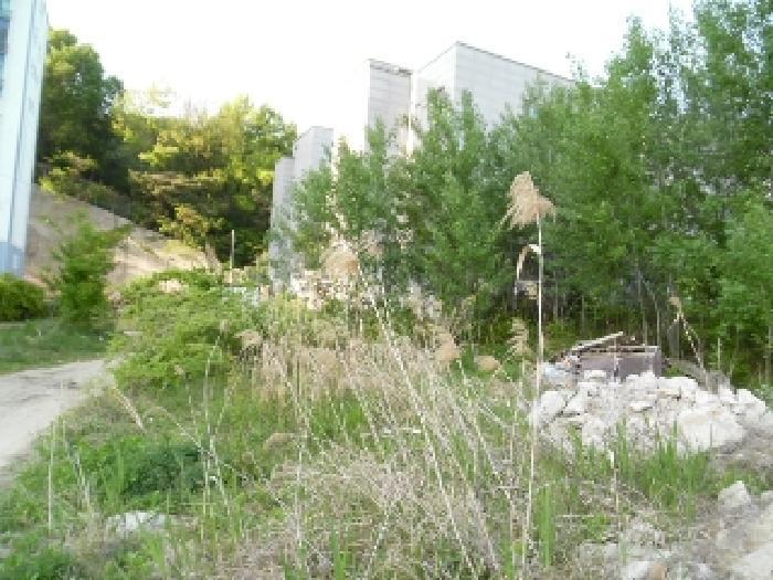 전북특별자치도 전주시 완산구 중화산동2가 210 대지 경매 사진 68