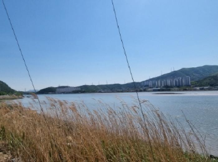 전라남도 광양시 진월면 진정리 934-2 잡종지 경매 사진 19