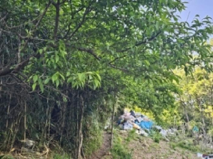 전라남도 광양시 진월면 진정리 934-2 잡종지 경매 사진 36