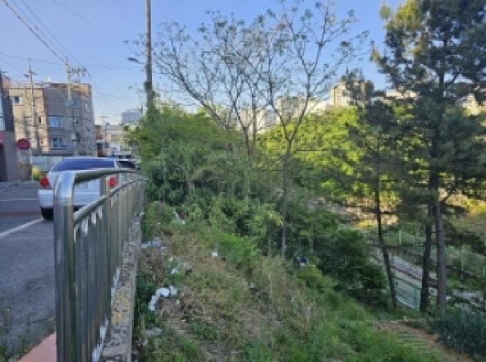 전라남도 광양시 진월면 진정리 934-2 잡종지 경매 사진 37