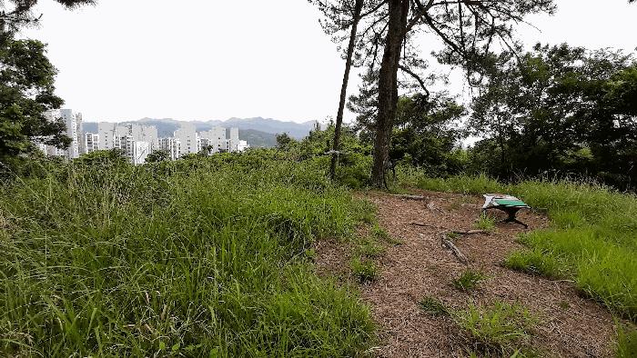 전라남도 여수시 율촌면 월산리 432-4 임야 경매 사진 12