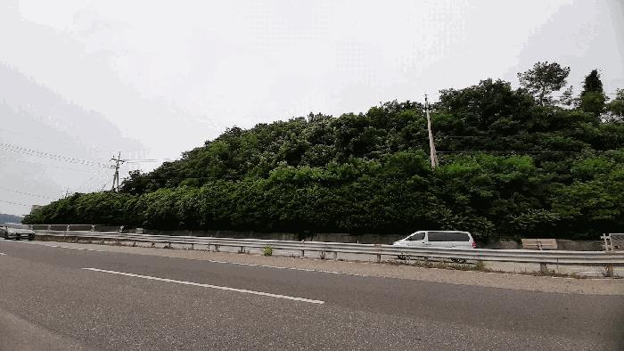 전라남도 여수시 율촌면 월산리 432-4 임야 경매 사진 8