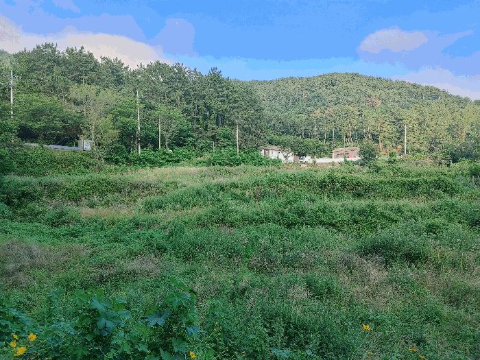 경상남도 거제시 둔덕면 학산리 69 답 경매 사진 1