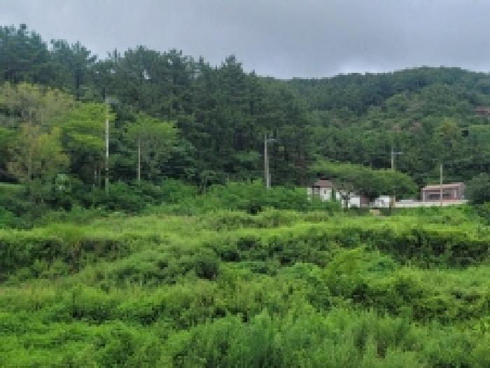경상남도 거제시 둔덕면 학산리 69 답 경매 사진 10