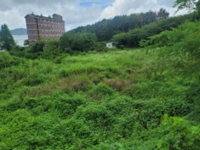 경상남도 거제시 둔덕면 학산리 69 답 경매 사진 11