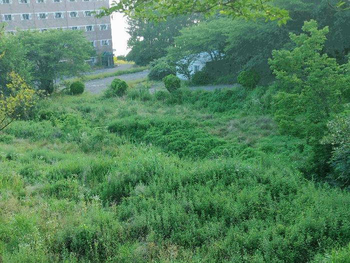 경상남도 거제시 둔덕면 학산리 69 답 경매 사진 3