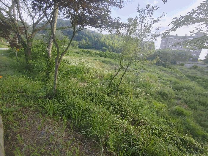 경상남도 거제시 둔덕면 학산리 69 답 경매 사진 4