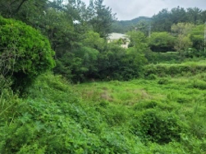 경상남도 거제시 둔덕면 학산리 69 답 경매 사진 7
