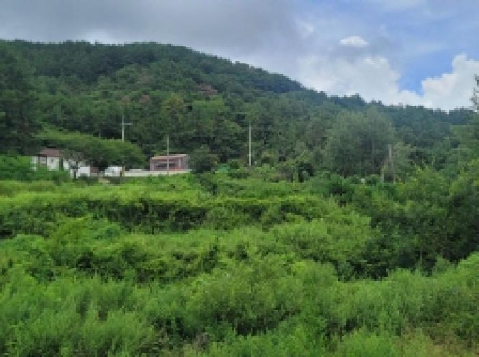 경상남도 거제시 둔덕면 학산리 69 답 경매 사진 8