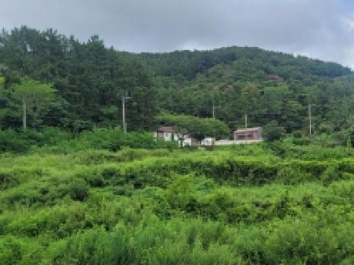 경상남도 거제시 둔덕면 학산리 69 답 경매 사진 9