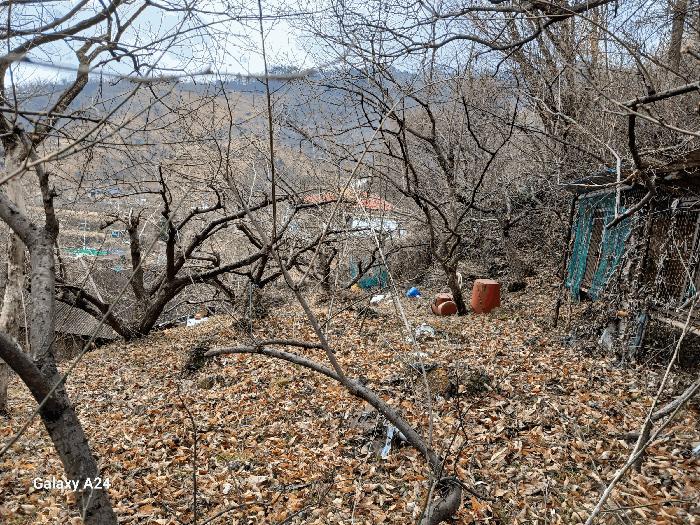 전라남도 광양시 다압면 금천리 2367 주택 경매 사진 10