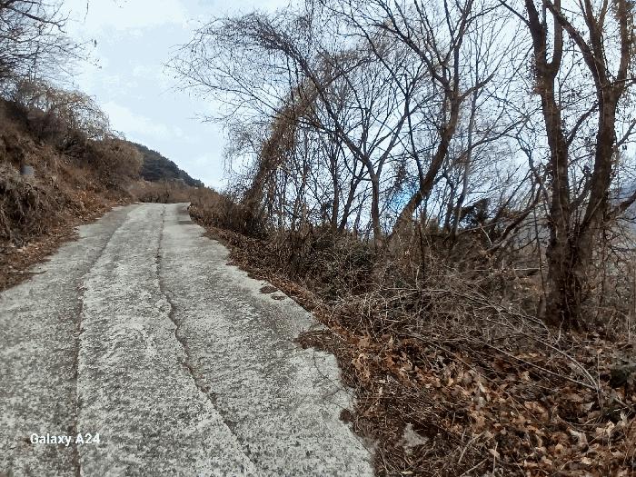 전라남도 광양시 다압면 금천리 2367 주택 경매 사진 2
