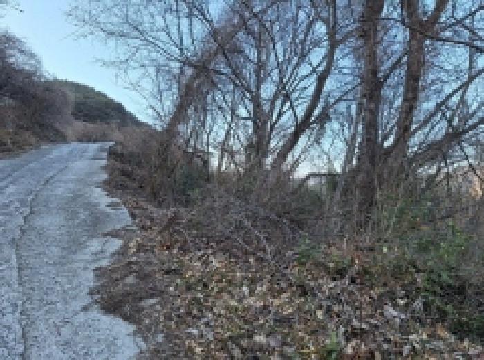 전라남도 광양시 다압면 금천리 2367 주택 경매 사진 27