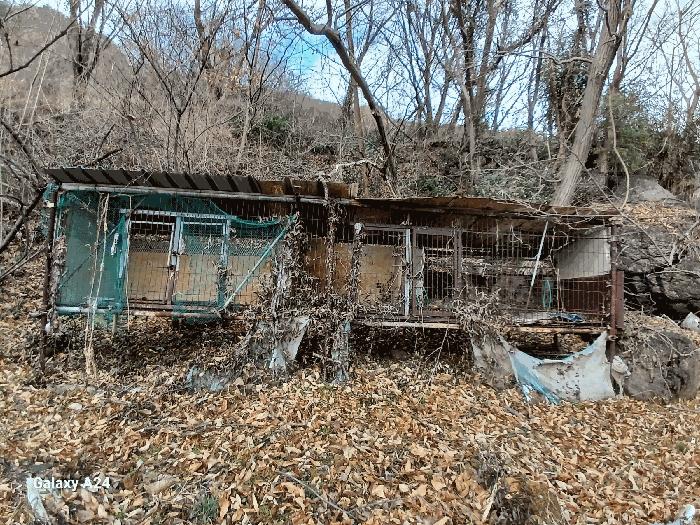 전라남도 광양시 다압면 금천리 2367 주택 경매 사진 9