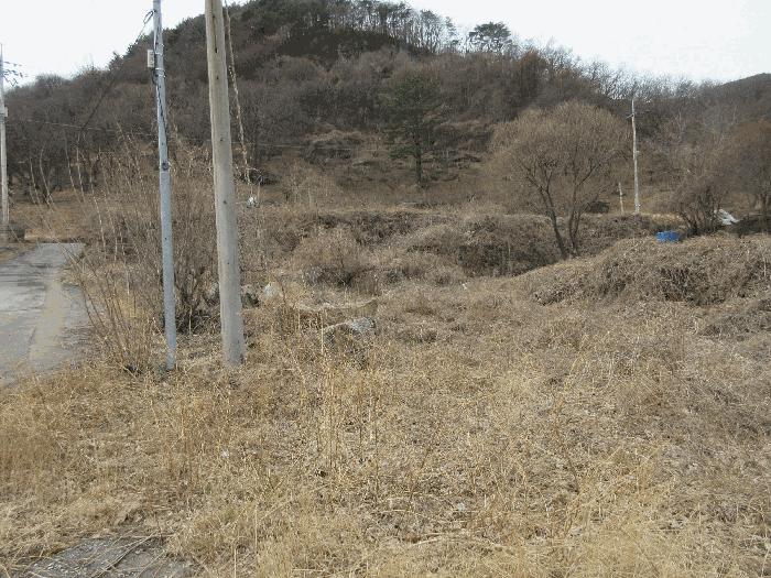 전라남도 광양시 다압면 금천리 2139-1 답 경매 사진 2