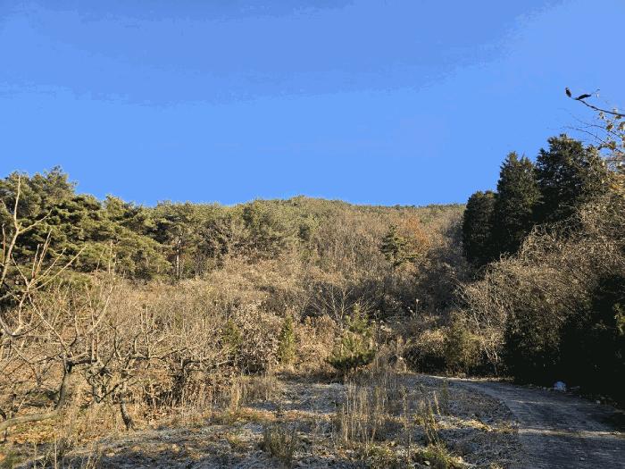 경상남도 사천시 임야