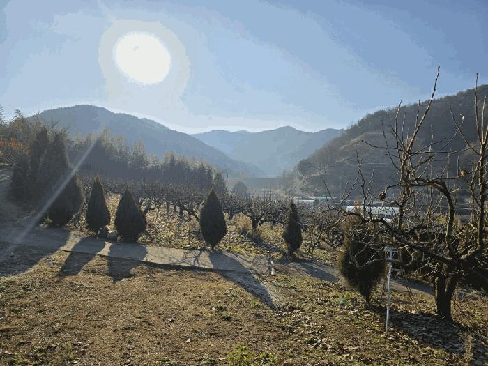 경상남도 사천시 사천읍 장전리 산91 임야 경매 사진 10