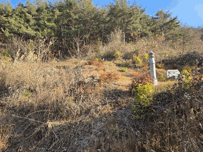 경상남도 사천시 사천읍 장전리 산91 임야 경매 사진 2