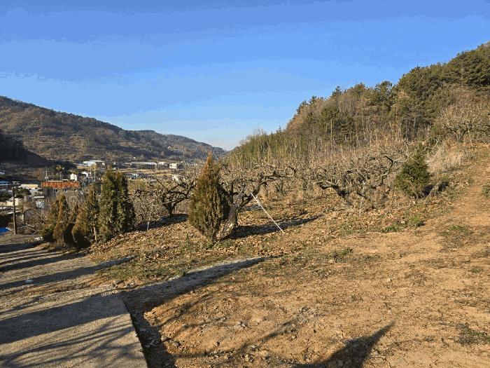 경상남도 사천시 사천읍 장전리 산91 임야 경매 사진 21