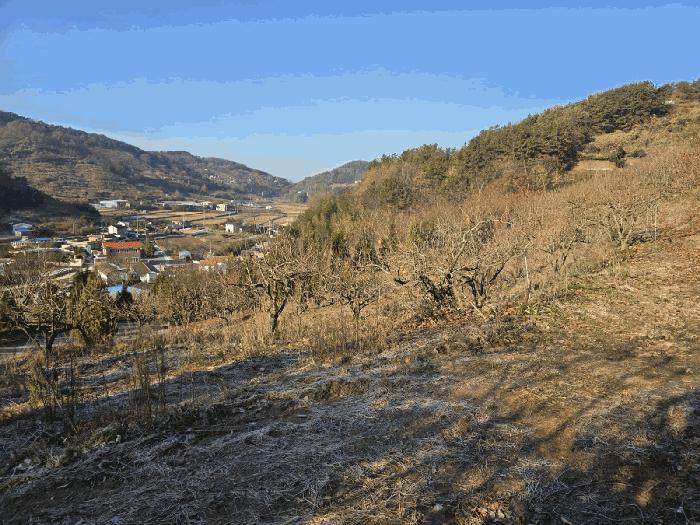경상남도 사천시 사천읍 장전리 산91 임야 경매 사진 22