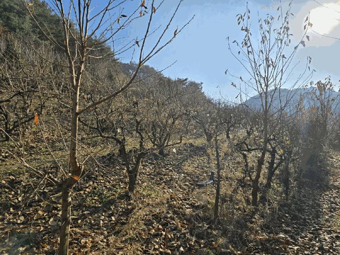 경상남도 사천시 사천읍 장전리 산91 임야 경매 사진 23