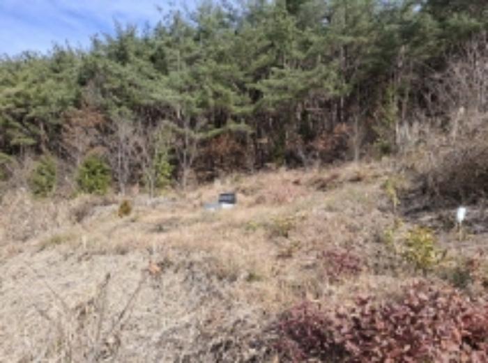 경상남도 사천시 사천읍 장전리 산91 임야 경매 사진 26