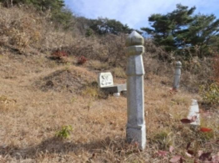 경상남도 사천시 사천읍 장전리 산91 임야 경매 사진 27