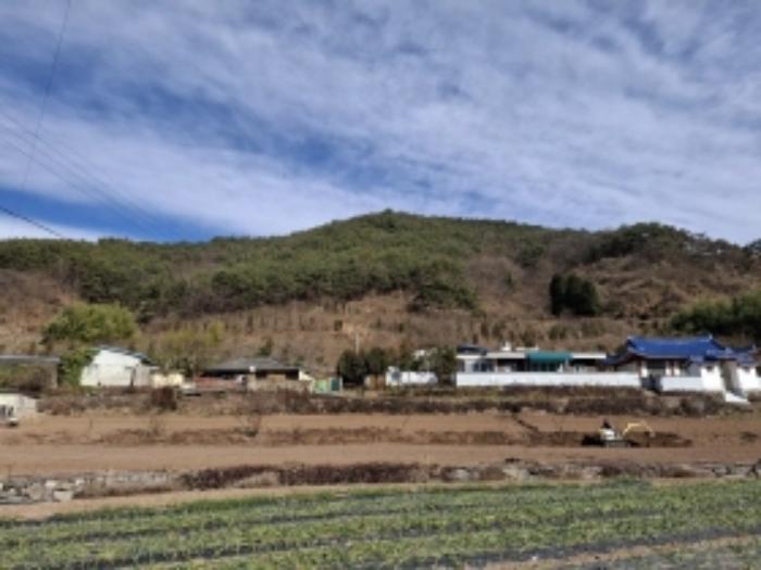 경상남도 사천시 사천읍 장전리 산91 임야 경매 사진 31