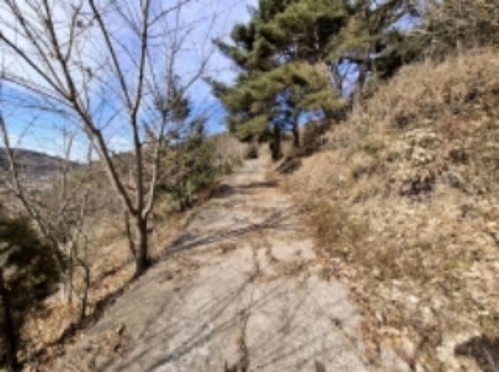 경상남도 사천시 사천읍 장전리 산91 임야 경매 사진 33