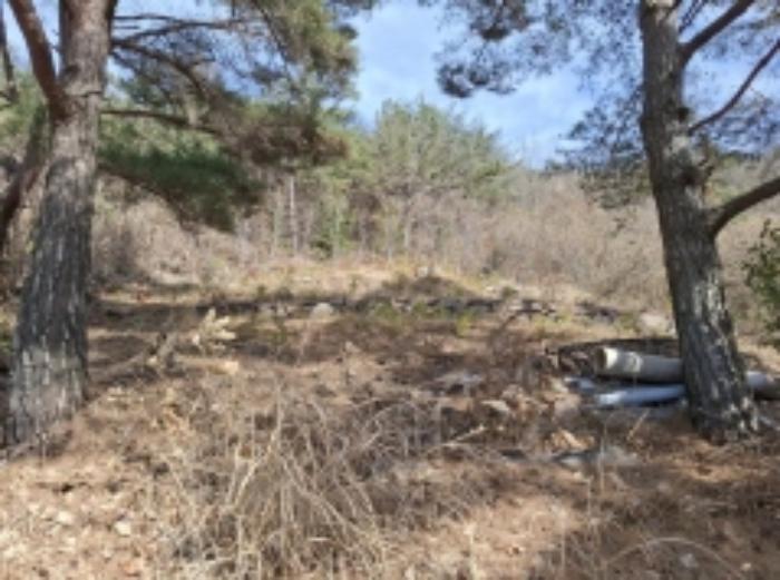 경상남도 사천시 사천읍 장전리 산91 임야 경매 사진 35