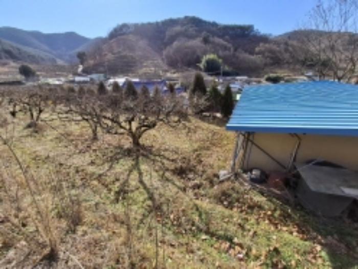 경상남도 사천시 사천읍 장전리 산91 임야 경매 사진 42