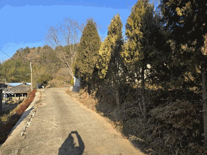 경상남도 사천시 사천읍 장전리 산91 임야 경매 사진 8