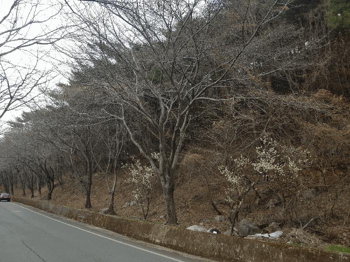 경상남도 남해군 서면 정포리 산18-1 임야 경매 사진 3
