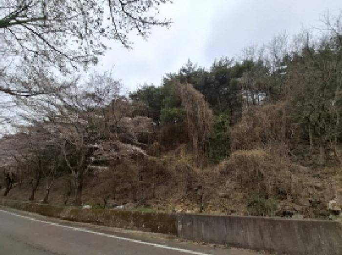 경상남도 남해군 서면 정포리 산18-1 임야 경매 사진 5