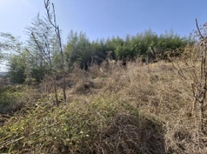 경상남도 진주시 정촌면 화개리 879 대지 경매 사진 10