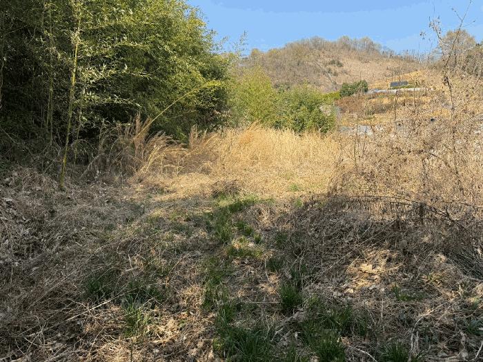 경상남도 진주시 정촌면 화개리 879 대지 경매 사진 6