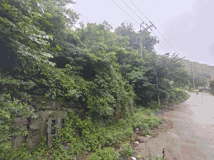 경상남도 고성군 고성읍 율대리 1019 임야 경매 사진 3