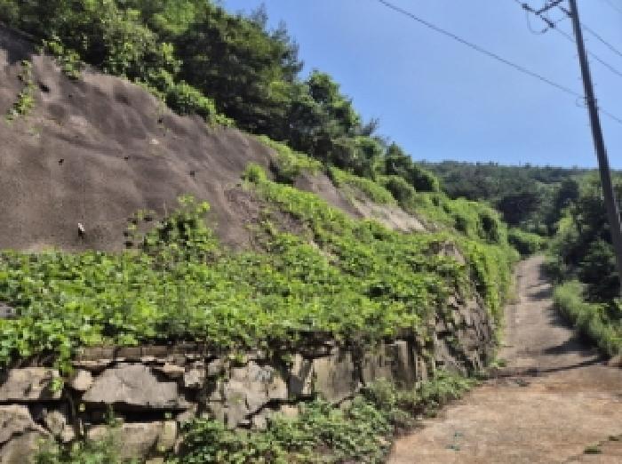 경상남도 고성군 고성읍 율대리 1019 임야 경매 사진 5
