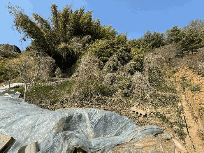 경상남도 진주시 정촌면 화개리 888-1 대지 경매 사진 1