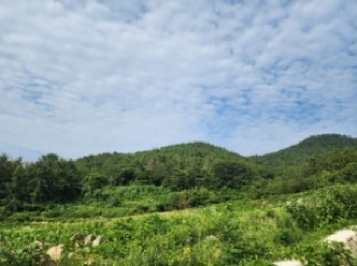 전라남도 여수시 화양면 서촌리 956 전 경매 사진 10