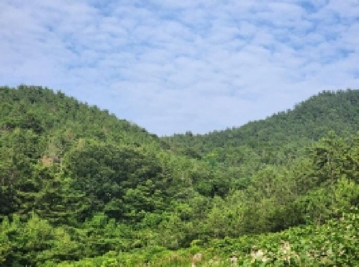 전라남도 여수시 화양면 서촌리 956 전 경매 사진 11
