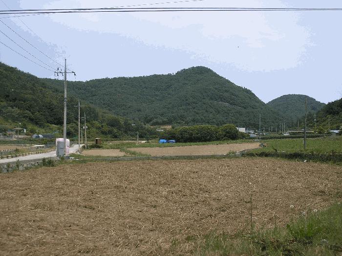 전라남도 여수시 임야