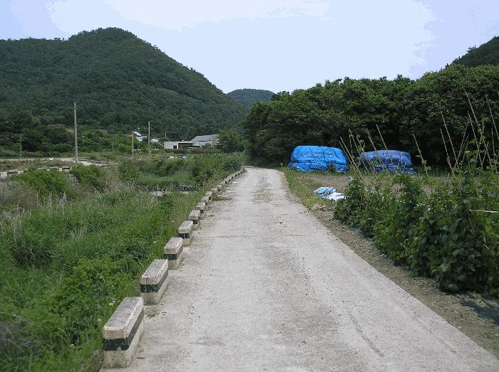 전라남도 여수시 화양면 서촌리 산68-22 임야 경매 사진 3