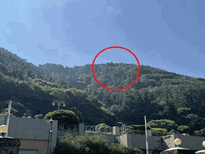 경상남도 거제시 거제면 동상리 69 답 경매 사진 2