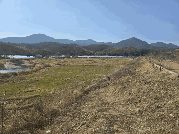 경상남도 하동군 옥종면 문암리 1-2 임야 경매 사진 4